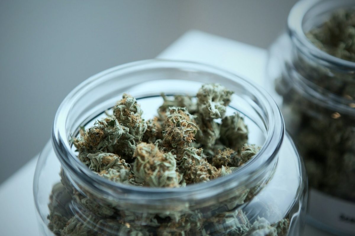 Finding Quality: The Best Weed Dispensaries in D.C