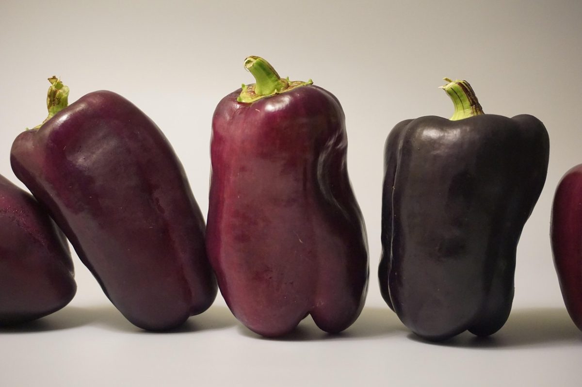 Vegetables, nature, food — Dr. Rodolfo Giraldi Advancing Patient Care With Experience Across Multiple Specialties