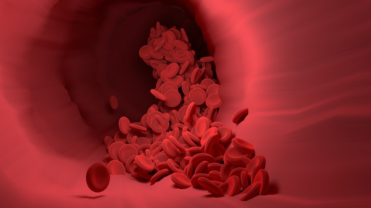 Red blood cells, blood vessel, blood flow — How Dr. Felix Shepard Improves Community Health with Accessible Urologic Services