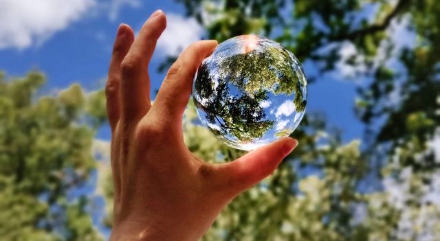 PET Recycling: How This Process Saves Resources and the Planet